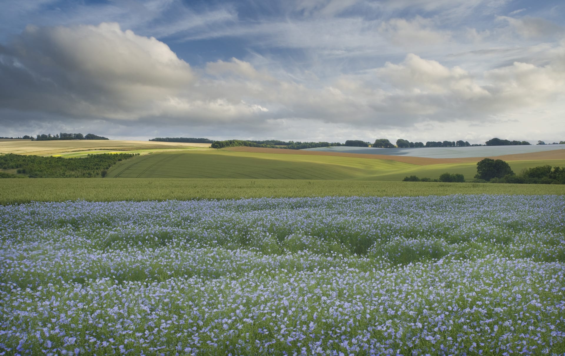 Fiber Internet Plans and Pricing